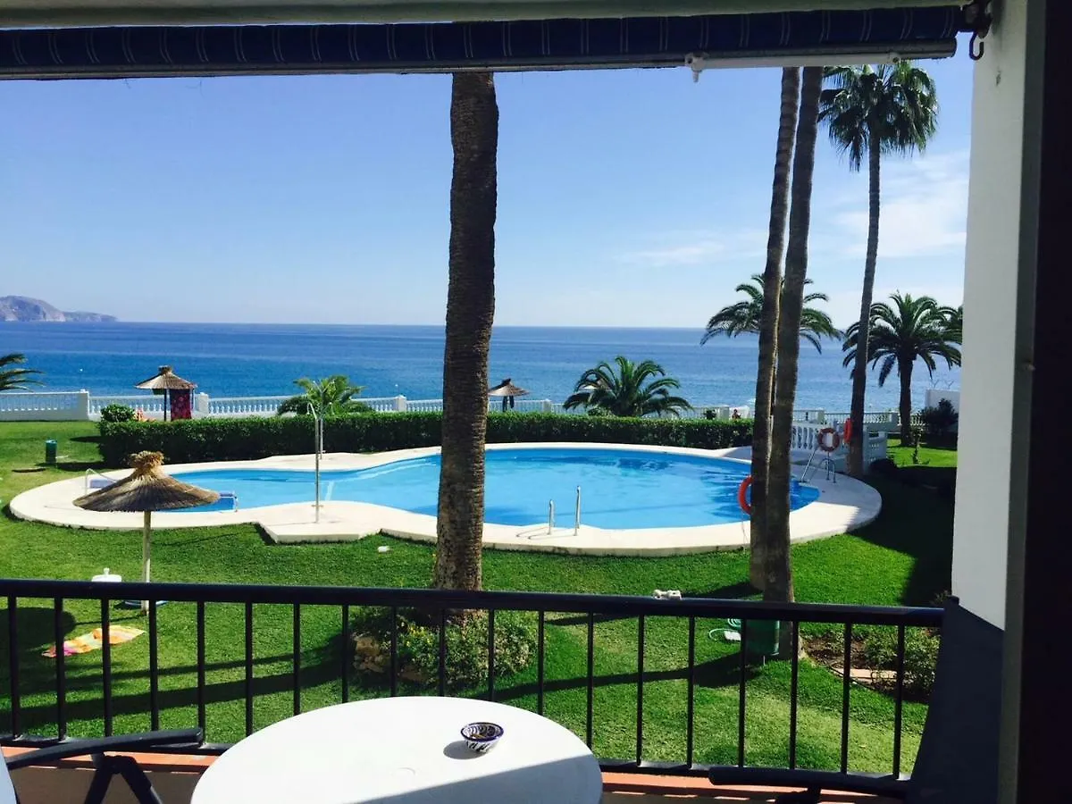 Palmeras 53 Menyber Nerja